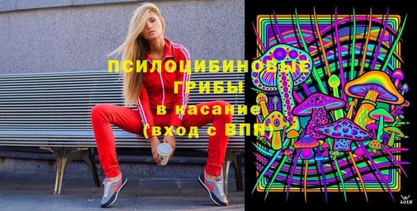 ПСИЛОЦИБИНОВЫЕ ГРИБЫ Кинешма