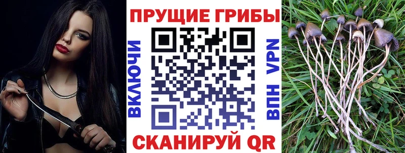 Псилоцибиновые грибы мухоморы  Купить закладки  Дно 