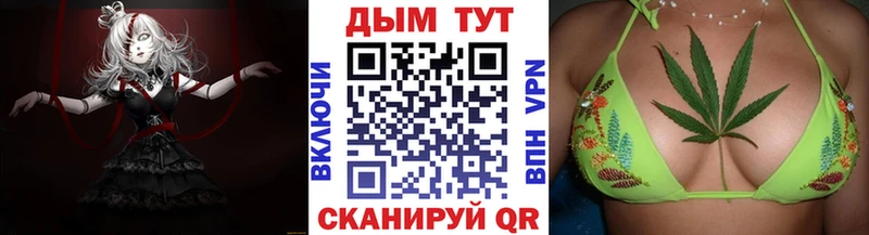 Каннабис OG Kush  Купить  Дно 